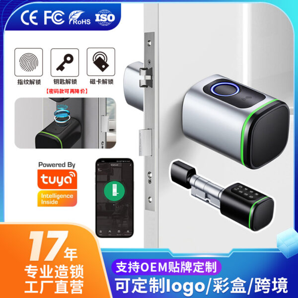 Graffiti Bluetooth fingerprint password lock, smart adjustable door lock, no wiring, anti-theft wooden door, overseas hot-selling card lock.