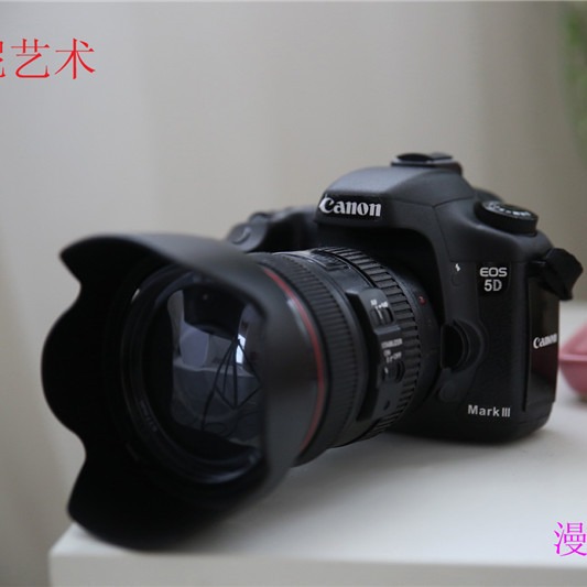 European style retro camera 5D3 model soft decoration / creative furniture living room ornament DSLR craft model